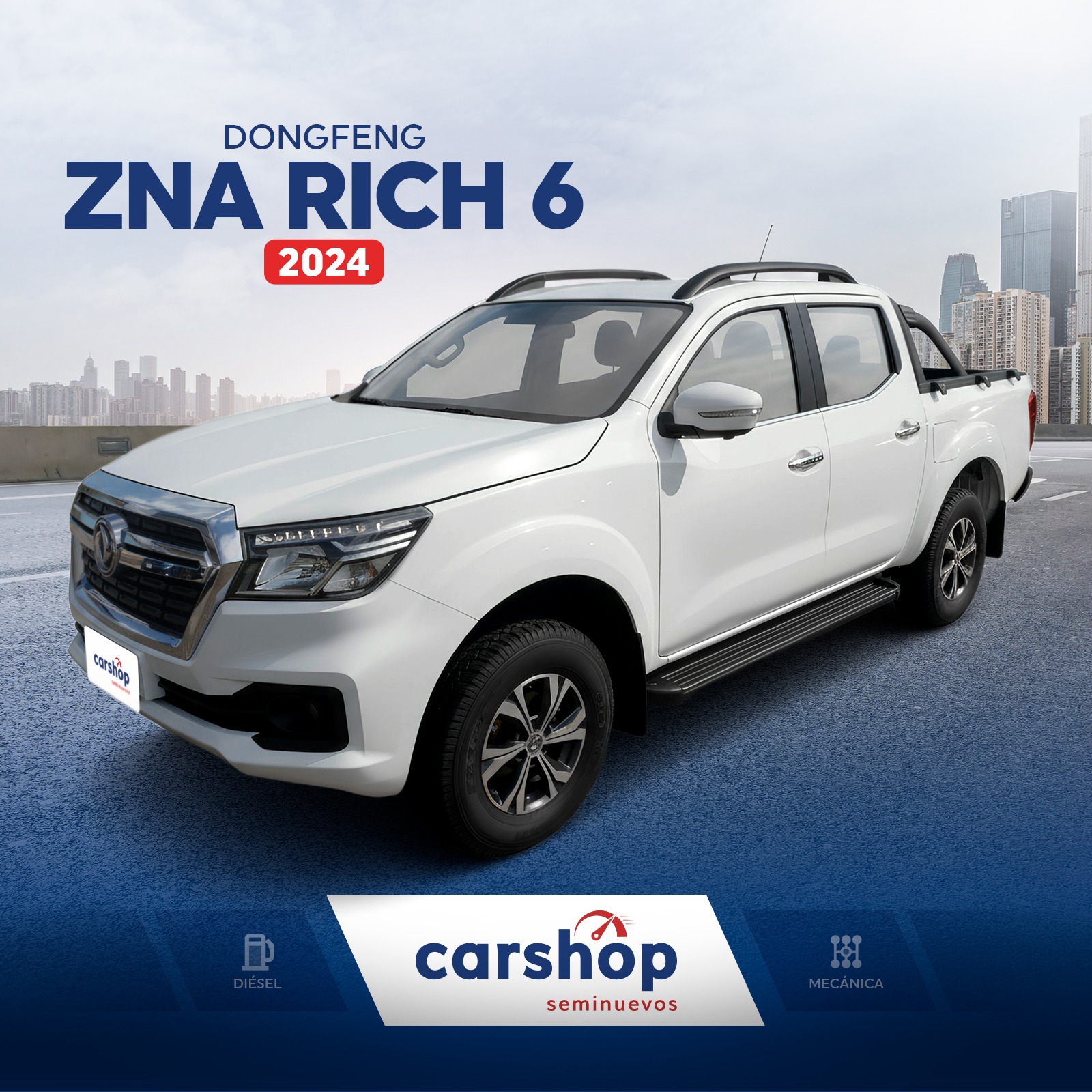 DONG FENG RICH 6 2024