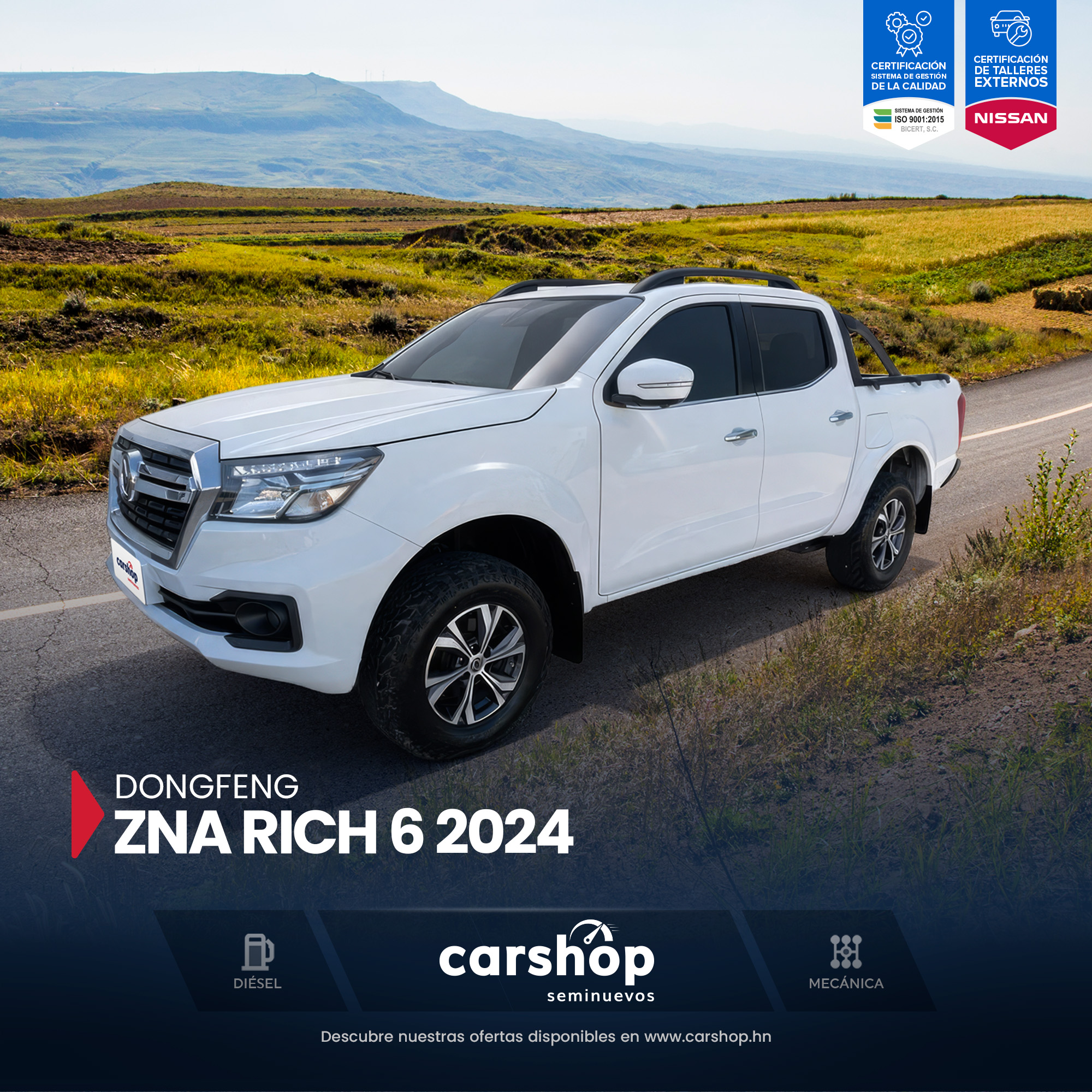 DONG FENG RICH 6 2024